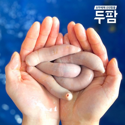 개불 - 두팜 싱싱한 활 개불 7마리 한접시, 횟감개불 7마리(국산)