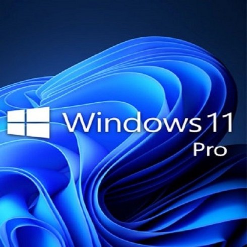 윈도우11pro - [즉시전송] MS윈도우11 프로 정품키+설치링크
