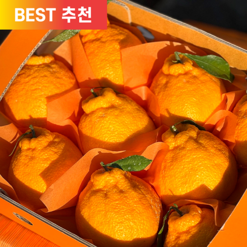 2023년 가성비 최고 설선물 - [러뷰팜] 제주 Premium 한라봉 고당도 가정용 선물용 1.5kg 2.5kg 4.5kg, 한라봉 가정용 1kg 소과(7-8과 내외)