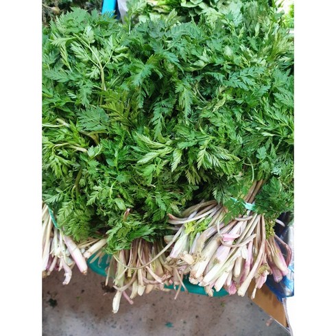 자연산 울릉도 전호나물 1kg, 2개