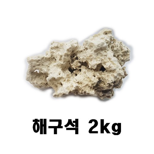 해구석 - 해구석 2kg / 수족관 어항 수조 장식 수석 어항 돌, 1개