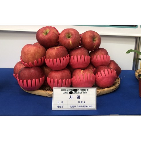 사과 거창사과 GAP인증 해발 약600m 고랭지사과 청년농부 산지직송, 1박스, 정품 5kg 23~25(과)