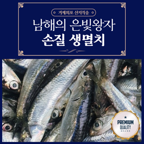 비리지않은 남해 생멸치 멸치회 생물 최상품, 손질 생멸치 횟감용 1kg, 1개