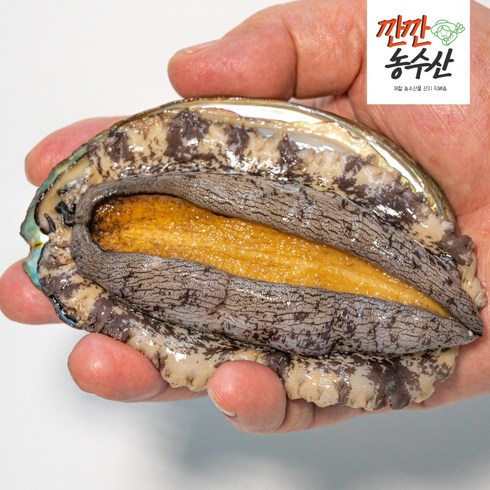 완도 황금전복 6-40미 산지직송 국산 선물세트 활전복 1kg 깐깐농수산, 일반포장, 꼬마전복 26-30미