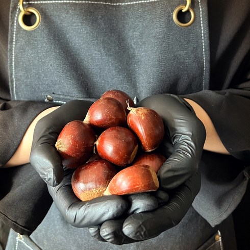 23년 햇밤 공주 정안 칼집 알밤 특 대 2kg 4kg chestnut, 1박스, 칼집밤