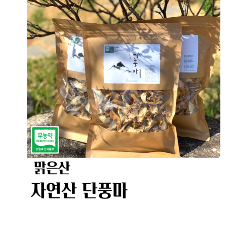 단풍만나원 - 자연산 단풍마 300g, 1개