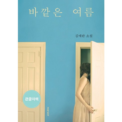 바깥은여름 - 바깥은 여름(큰글자책):김애란 소설, 김애란, 문학동네