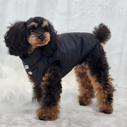 강아지패딩 TOP01