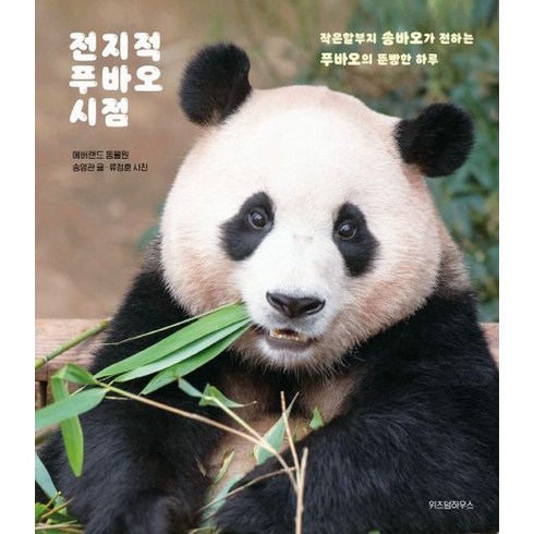 BEST) 전지적 푸바오 시점 (빠른배송|safely), 전지적 푸바오 시점 (위즈덤하우스), 위즈덤하우스, 송영관