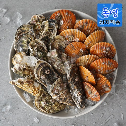 당일조업 통영 제철 석가세트 3kg 5kg [구이/찜용] 각굴 홍가리비 석화, 석가세트 1.석화2kg+가리비1kg, 1세트