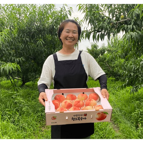 말랑이복숭아 - 청도 털 복숭아 고당도 14Brix, 말랑이 백도, 4kg, 특대과, 1개