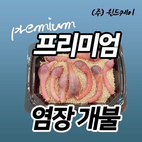 2023년 가성비 최고 개불미끼 - 염장개불 낚시용 개불 8마리~10마리 감성개불 개불미끼, 감성개불 8마리~10마리