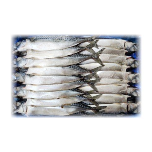 노르웨이 자반고등어 10손(20마리)(특대) 8kg/업소용 식당용 간고등어, 1개