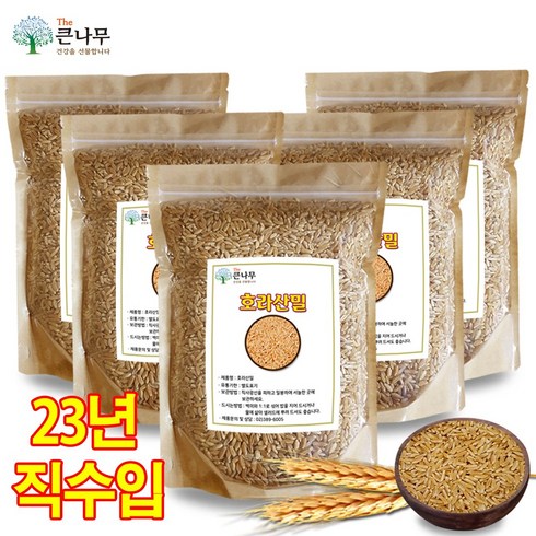 The큰나무 터키산 호라산밀, 1kg, 5개