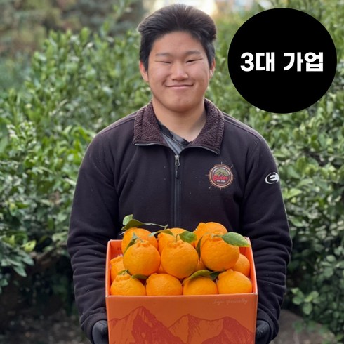 응팜 3대가업 제주도 한라봉 가정용 선물용 1 3 5 kg, 1박스, 가정용 중과 1kg (5~6)