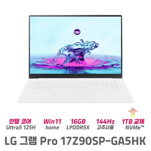 17z90sp-ed7hk - LG그램 17Z90SP-GA5HK 울트라5 16GB 512GB 윈도우11 정품탑재 대화면 가벼운 노트북, WIN11 Home, 1TB, 화이트