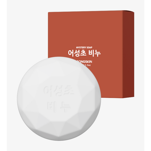 공스킨 - 공스킨 어성초 비누, 100g, 10개