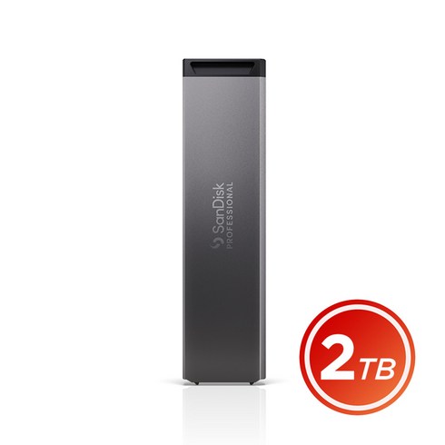 샌디스크 Professional PRO-BLADE SSD MAG 2TB