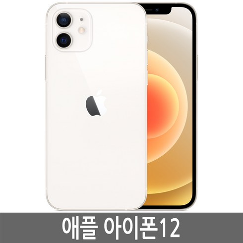 아이폰12 TOP01