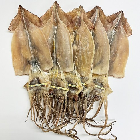 산지직송 직접말린 국내산 당일바리 마른오징어 건조오징어, 1개, 420g(5미)