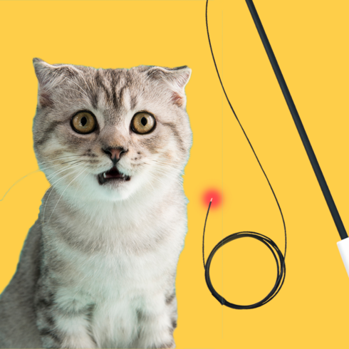 BAEKOKO 배코코 반딧불 낚시대 고양이 장난감 고양이용품 반려동물용품, WARM-WHITE, 1개