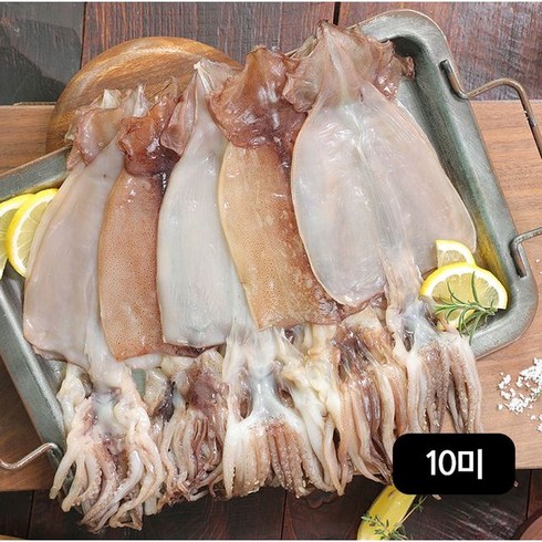 마싯구룡 구룡포 반건조오징어140g(2미)X5팩 (총 10미), 단일옵션