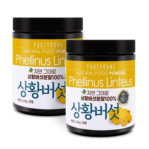 상황버섯분말 - 퓨어영 국산 상황버섯 분말 가루 110g, 2개