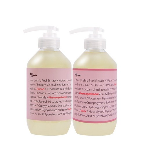 빅그린 임산부 임신축하선물 예비맘 저자극 헤어바디세트 (샴푸 500ml+바디워시 500ml), 빅그린 임산부 샴푸 500ml+바디워시 500ml