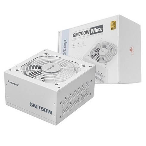 가츠파워x750w브론즈화이트 - Segotep GM750W 80PLUS GOLD 풀모듈러 ATX 3.1 (PCIE5.1) 파워 화이트 (ATX 750W), 1개, 선택하세요