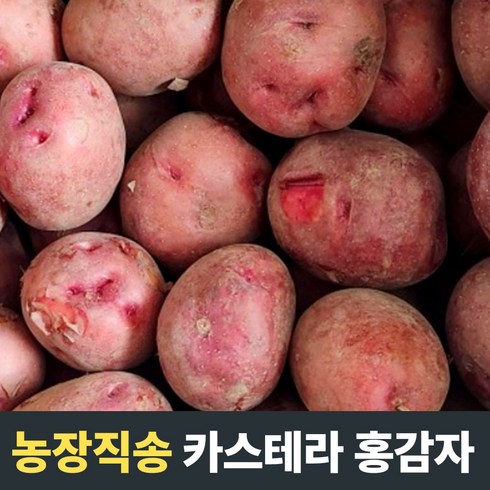 [농장직송] 카스테라홍감자 색깔감자 색깔홍감자 3kg 5kg 10kg 홍감자 햇홍감자 홍감자5kg 감자 홍감자 서홍감자 감자10kg 감자대사이즈 햇홍감자10kg대, 1개, 3kg(특)