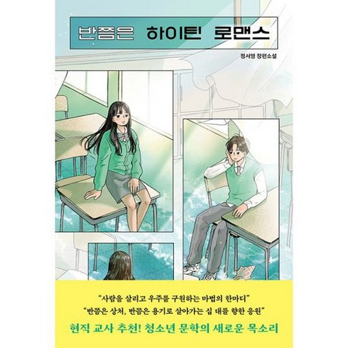 반쯤은 하이틴 로맨스, 도서