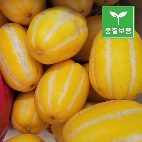 산지직송 성주 꿀 못난이 참외, 1박스, 5kg(혼합과)