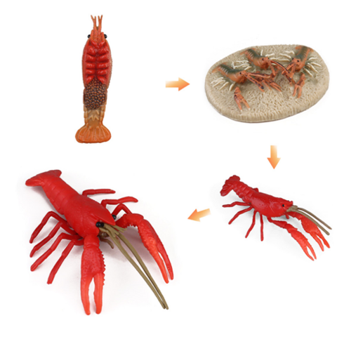 실바니안패밀리 TOP01