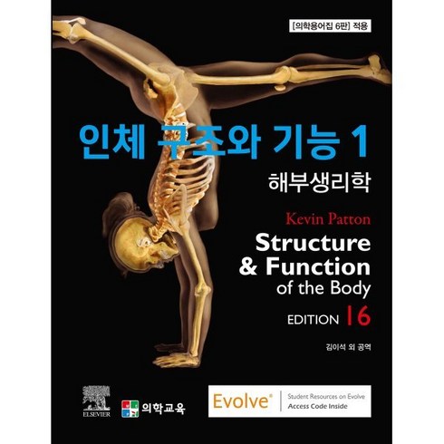 인체구조와기능 - 인체 구조와 기능 1~2권 세트, Kevin T. Patton,Gary A. Thi..., 의학교육