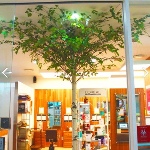 인조나무 - 아름드리 인테리어용 인조 소원 자작나무 라인소원, 01 Y형자작기본(150), 사방형 360도, 1개