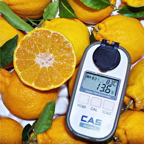 2024년 가성비 최고 설명절 - 설 명절 설물세트 고당도특수농법 제주 한라봉, 1박스, 5Kg