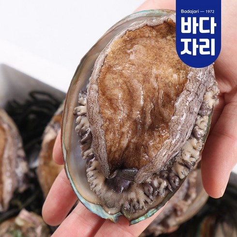 [산지직송] 완도 활전복 1kg 완도전복 산소포장 참착한전복 9-10미