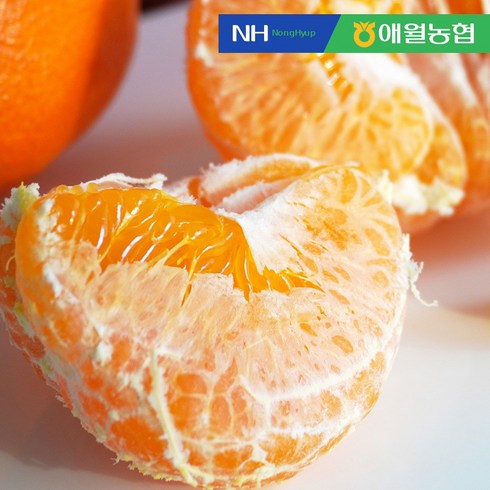 [애월농협] 제주 고당도 레드향 4kg (12-25입), 단품