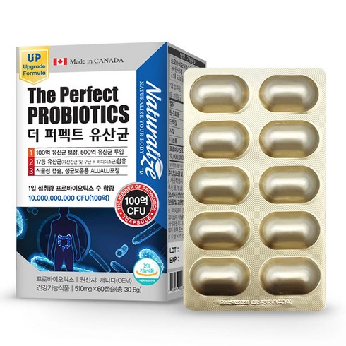 캐나다 네추럴라이즈 더퍼팩트 프로바이오틱스 유산균 프리바이오틱스 ALUALU포장 17종 500억투입 프리바이오틱스 장건강, 1개, 60정