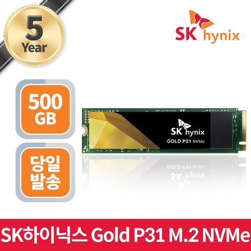 SK하이닉스 GOLD P31 NVMe SSD, HFS500GDE9X0733, 500GB