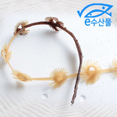제사용문어 꽃문어 꽃백자 꽃오징어 다리 가위로 오린 제수용품, 1개