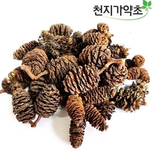 국내자연산 오리나무열매 사방오리나무열매, 100g, 1개