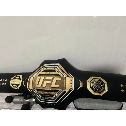 ufc 벨트 챔피언 MMA wwe 권투 복싱 챔피언 레슬링 종합격투기