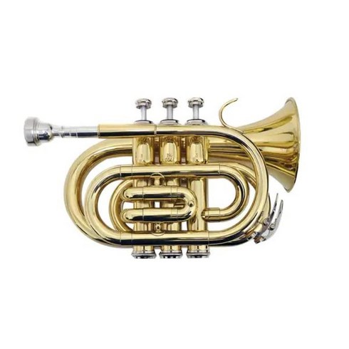 PLAYTECH (플레이 텍) 포켓 트럼펫