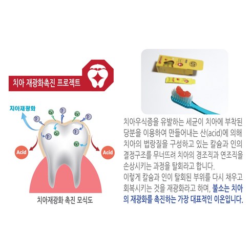 불소도포 - 투스가디언즈 프로-겔 치아재광화촉진제 불소겔 불소도포제 시린이, 1개