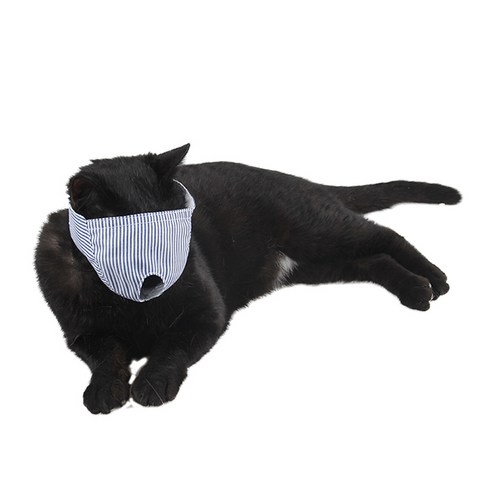 강아지안대 - 힐링타임 고양이 눈가리개 S, 블루(NH-3131), 1개