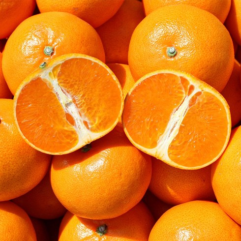 [귤담원] 서귀포 명품 천혜향 2kg 3kg 5kg, 01.천혜향 2kg 중소과(10-13과), 1박스