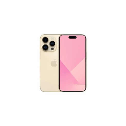 Apple 정품 아이폰 14 Pro Max 자급제, 골드, 128GB