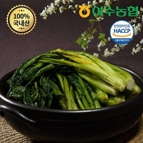 [여수농협] 여수돌산 절임갓 5kg, 1개