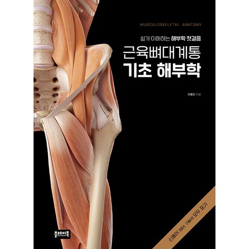 근육뼈대계통 기초 해부학